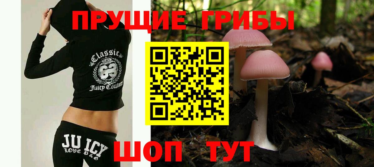 Галлюциногенные грибы прущие грибы Амурск
