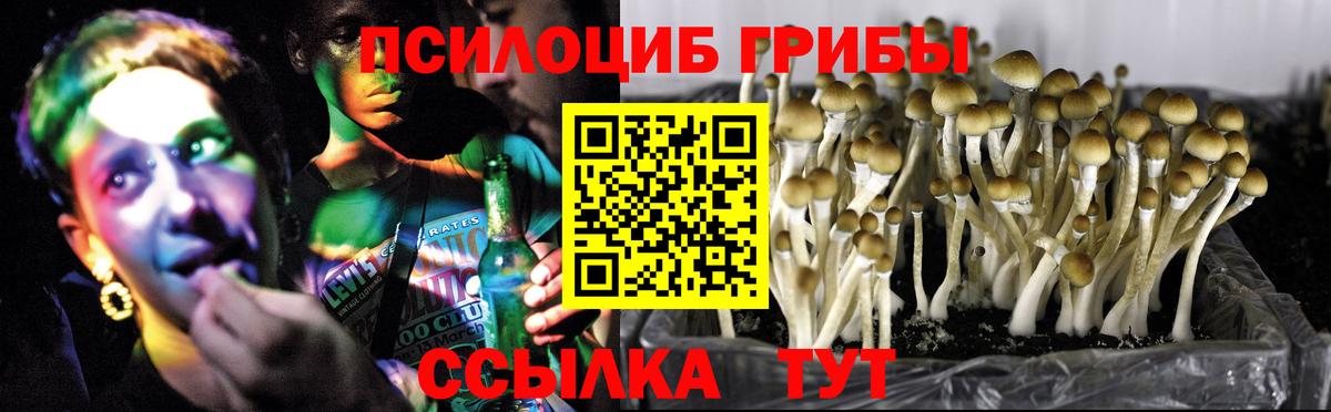 Галлюциногенные грибы ЛСД  закладки  Амурск  Вход с VPN 